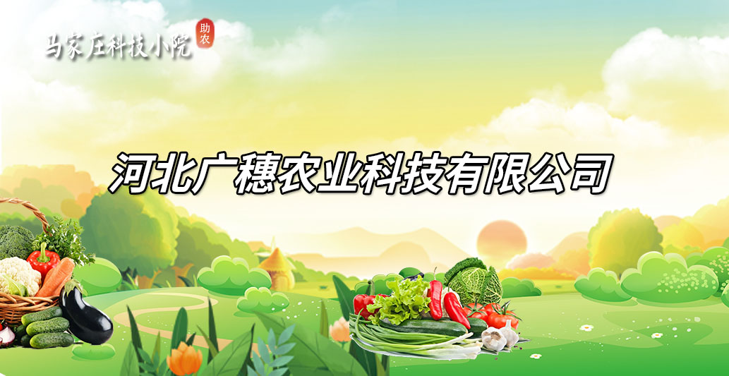 河北广穗农业科技有限公司