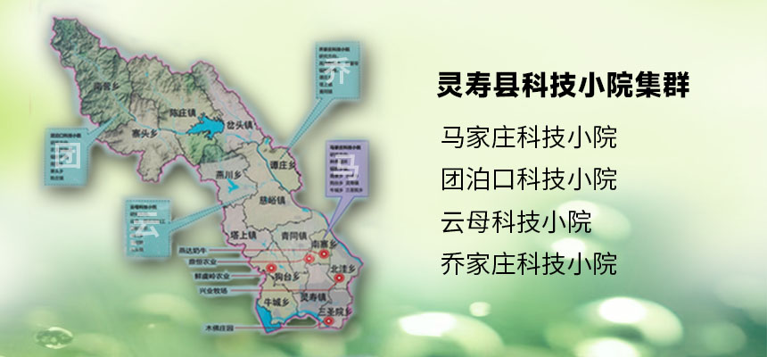 灵寿县科技小院集群