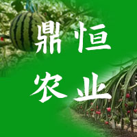 灵寿县鼎恒种植有限公司